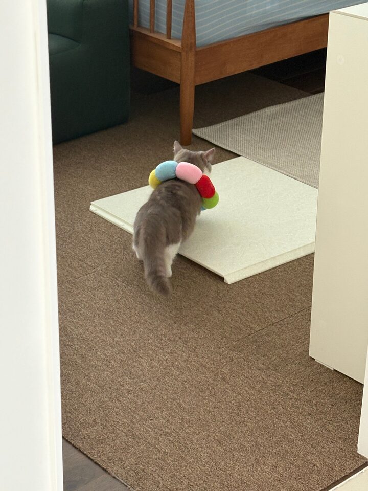 short form carousel card thumbnail