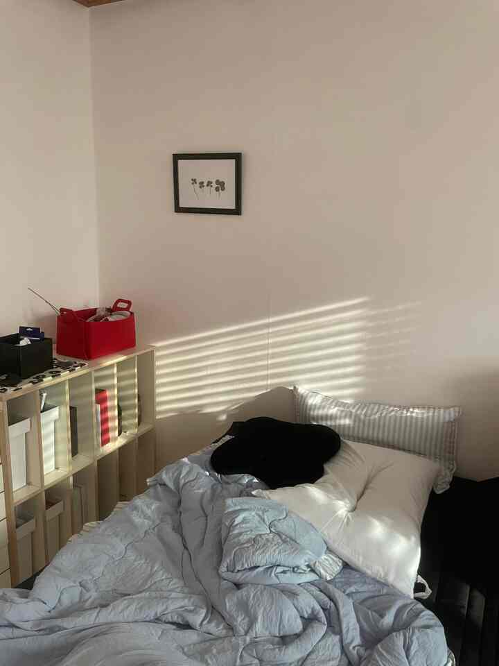 ニュールーム構造🚪 
部屋の構造を変えながら前後に置く曖昧な本棚を積み上げたら新しい家具できました！ブラインドの間に入る光が本棚の後ろに、ベッドの上を通り過ぎるのがかなり好きです♥️  #오늘의집 #방꾸미기 #방인테리어 #방구조바꾸기 #오늘의우리집 