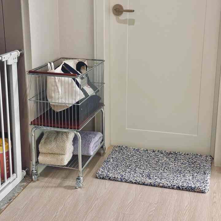 白い壁と扉、ナチュラル色の床に金属製トロリーと青白いバスマットが配置された整った玄関収納スペース