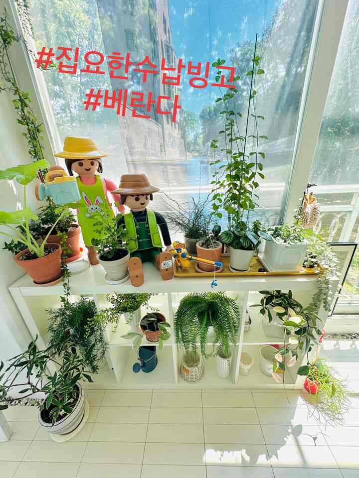 #집요한수납빙고
#ベランダ
 植木鉢収納