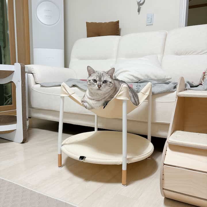 白とベージュの色調のリビング、中心にベージュ色のキャットハンモックでくつろぐ猫のいる雰囲気のあるインテリア
