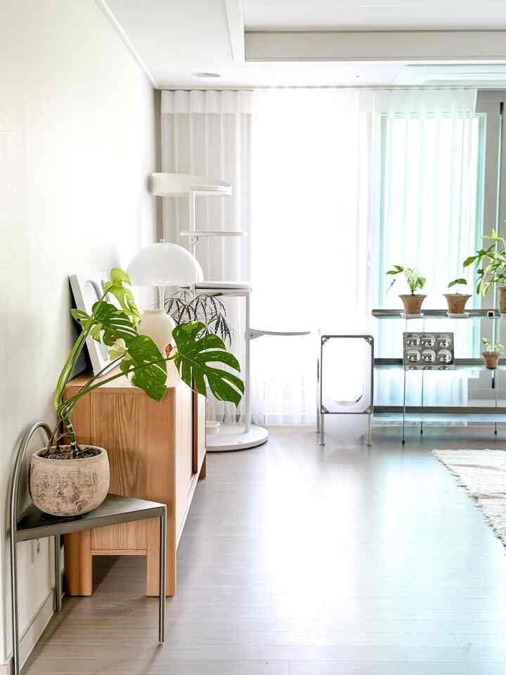 白と木目調が調和するリビング、サイドボードとキャットタワー、植物が配置された明るく清潔感のある空間