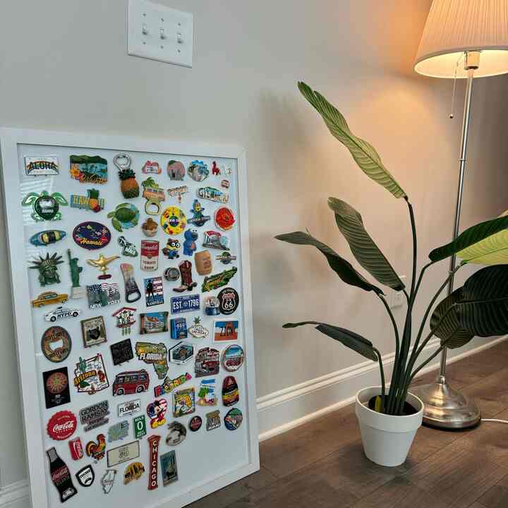A simple entrance space with white walls and brown wooden floor, featuring a large potted plant, floor lamp, and a framed magnet collection