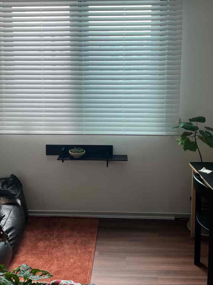 Simple modern living room with white blinds, dark leather sofa, and green plants arranged for a clean look