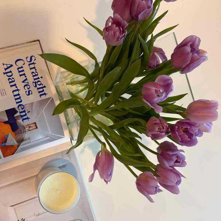 A vase of purple tulips, a softly glowing candle, and an artful book spread on a white table — this quiet moment captures the essence of summer: calm, light-filled, and full of gentle beauty.

#SummerReady #SummerRefresh #SummerVibes #SummerStyle