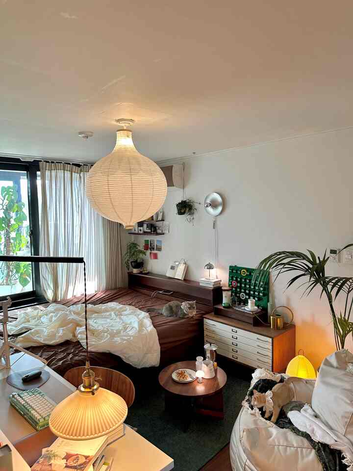 ナチュラルな木目調とベージュのカーテンがある一人暮らしの寝室、ペットがいる温かみのある空間