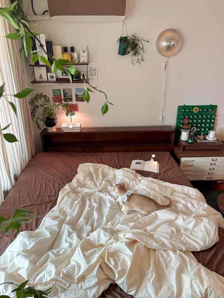 Natural brown-toned bedroom featuring a wooden bed frame and white duvet with a cat resting on top, creating a cozy atmosphere