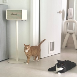 #내돈내산 #콘수프기록 
드디어 #마샬 구매완료 ㅎㅎ 마샬은 짭이 많다길래 공식인증점인 오늘의집에서 구매했어요! 고민많이했던 스피커라 더 애정이가네요🎶
#마샬스탠드 #마샬스탠모어 #마샬스탠모어3 #마샬스탠모어스탠드 #스피커 #거실스피커 #맞팔