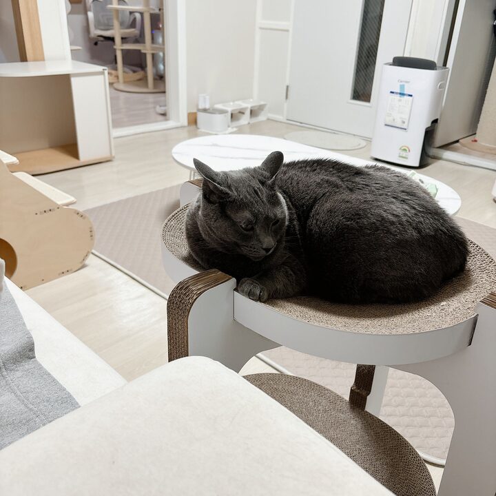 short form carousel card thumbnail