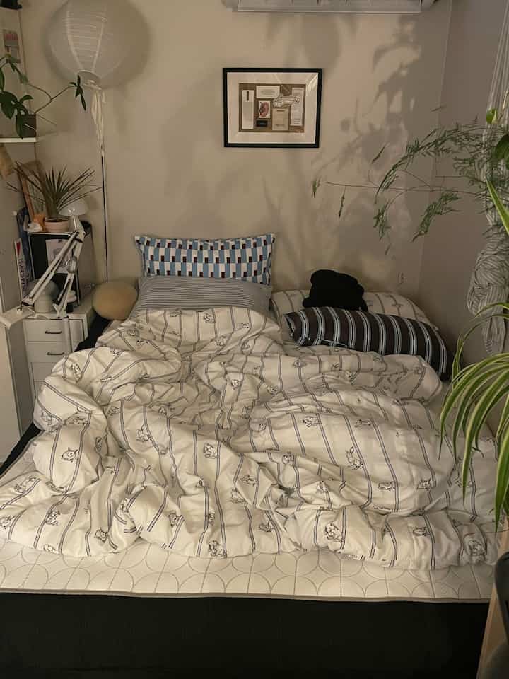 Black and white toned bedroom in a studio apartment, featuring patterned pillows and lush plants for a cozy feel