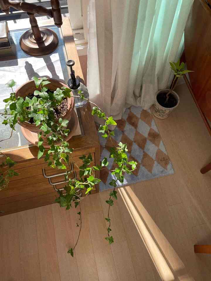 温かみのある木目調の床と家具、緑の植物、明るいカーテンが配置された落ち着いたリビングの一角