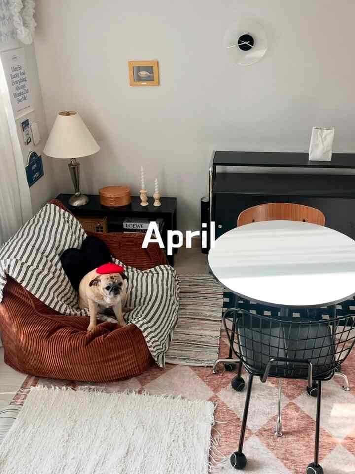 White and brown toned living room featuring a round dining table, bean bag sofa, and a dog seated comfortably creating a cozy space