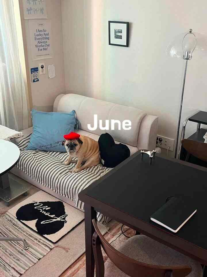 白と黒のトーンのリビングとホームオフィス、ソファの上に犬がいる雰囲気のある空間