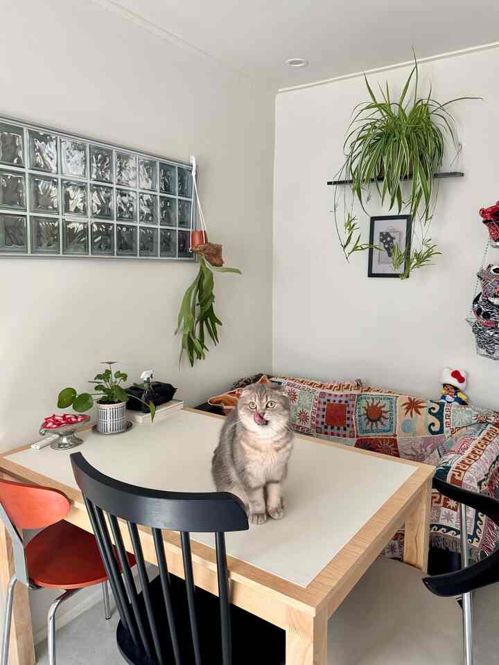 白い壁と木目調のダイニングテーブルが配置されたリビング、テーブルの上に猫と植物があり、落ち着いた雰囲気のあるインテリア