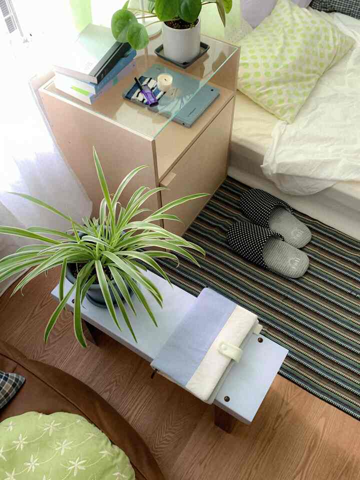 ホワイトとベージュのナチュラルな小さな寝室、植物とベンチ、ストライプのカーペットが配置された印象的な空間