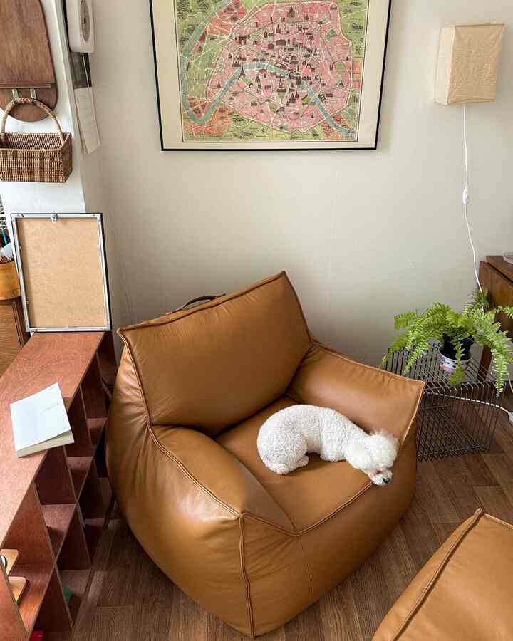 ナチュラルな色調のリビング、茶色のビーンバッグソファに白い犬が横たわる印象的な空間