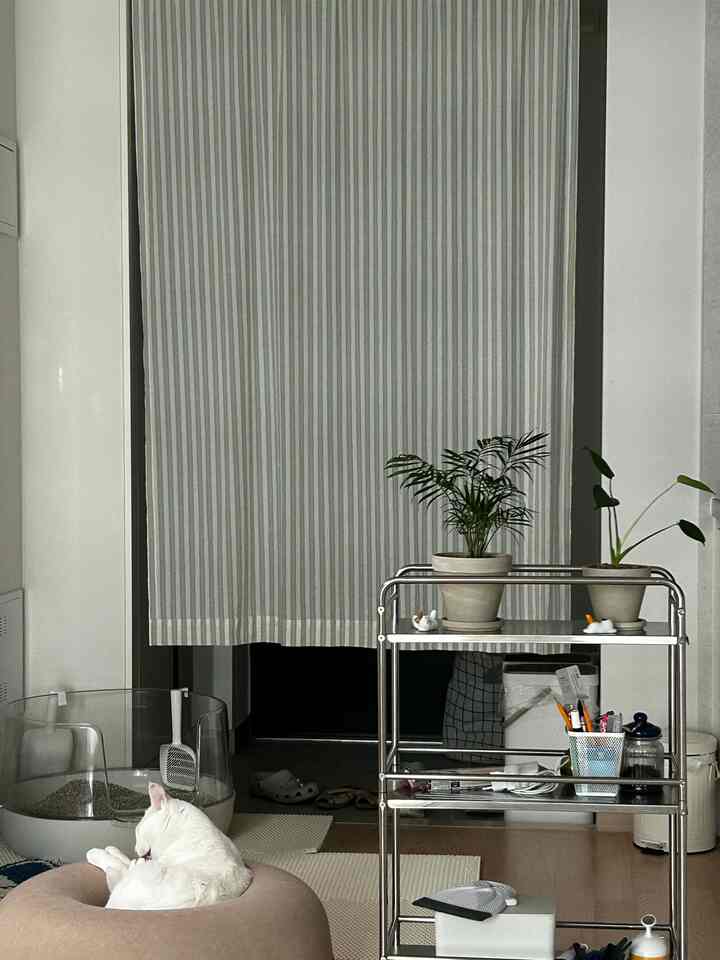 パステルのベージュとブルーのトーンのワンルーム玄関、リラックスする猫がいるペットベッドと植物が置かれたメタルシェルフがある雰囲気のあるインテリア