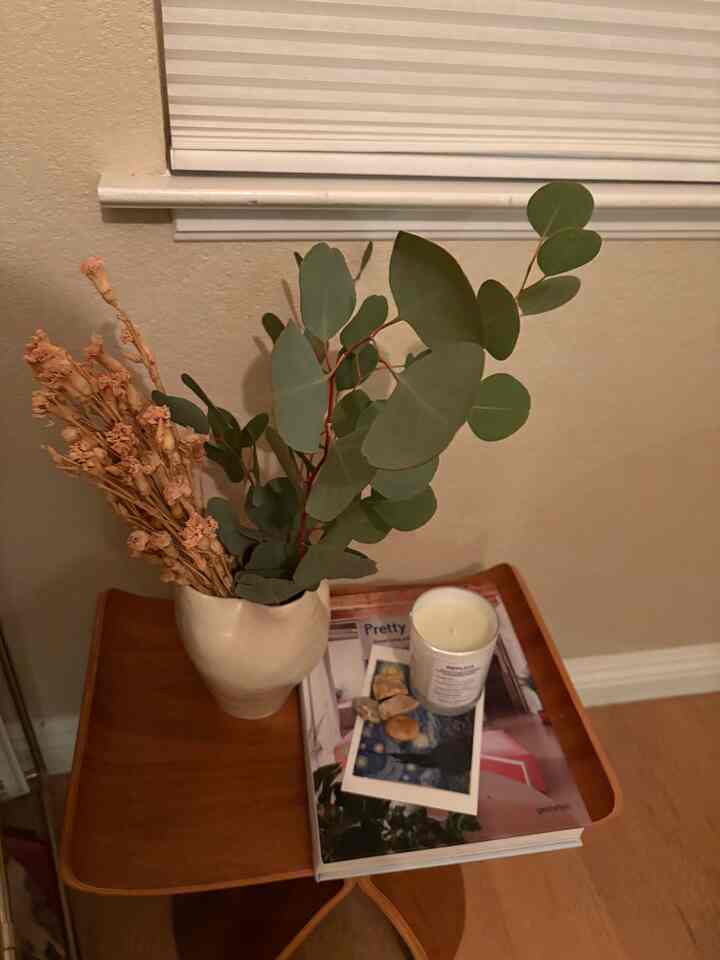 Saya menambahkan eucalyptus ke sudut favorit saya!
Baunya sangat menyegarkan!🌿

#EucalyptusVibes
#RefreshingScent
#CozyCorner
#MyFavoriteSpot
#HomeDecor
#Aromatherapy
#FreshAndCalm
#EucalyptusLove
#InteriorInspo
#ScentedSpace