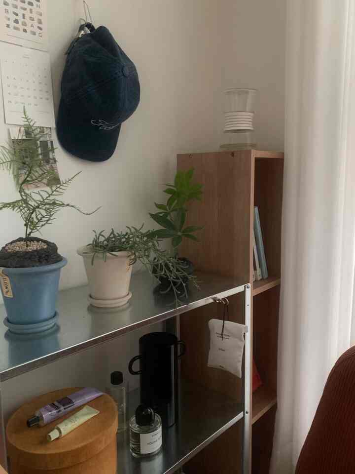 ナチュラルなトーンのコンパクトな空間、植物が置かれた木製と金属の棚があるモダンで清潔感のあるインテリア