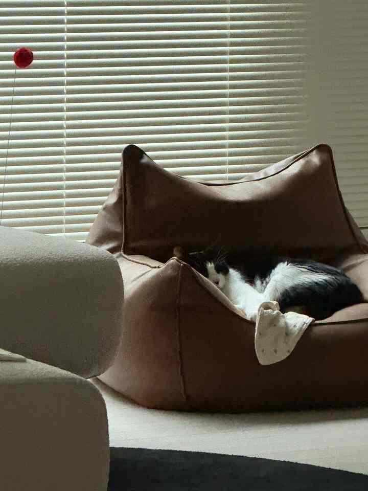 ブラウンを基調としたリビング、ビーズクッションソファの上で猫がくつろぐ雰囲気のある空間