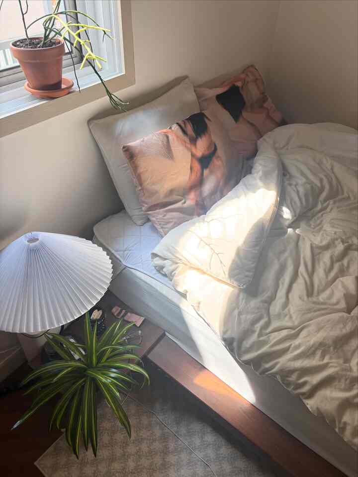   #무드 #집꾸미기 #방꾸미기 #roomdecor #roominterior #roomtour #원룸꾸미기 #원룸인테리어 #룸투어  #오늘의집 #인테리어 #오브제 #조명 #아르떼미데 #cozy #woody #우드앤화이트 #우드인테리어 #턴테이블 {22# #식집사 #홈스타일링 #감성인테리어