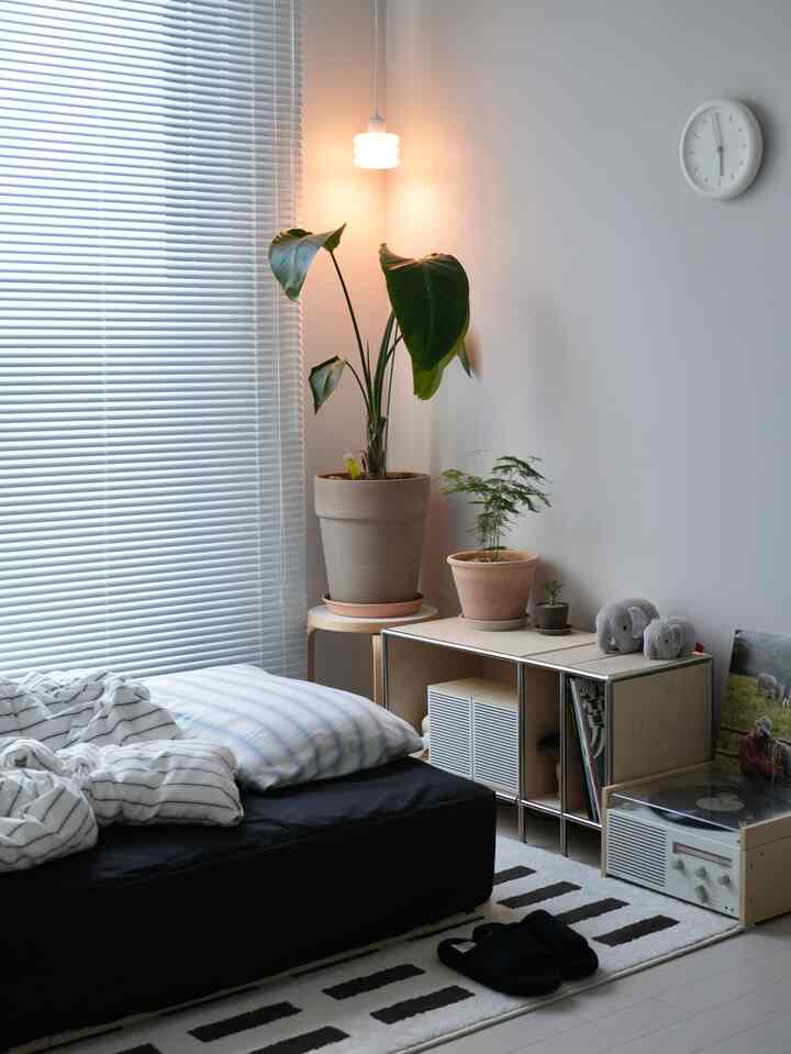 Small bedroom in white, black, and wood tones featuring bed, plants, and pendant light with a modern cozy atmosphere
