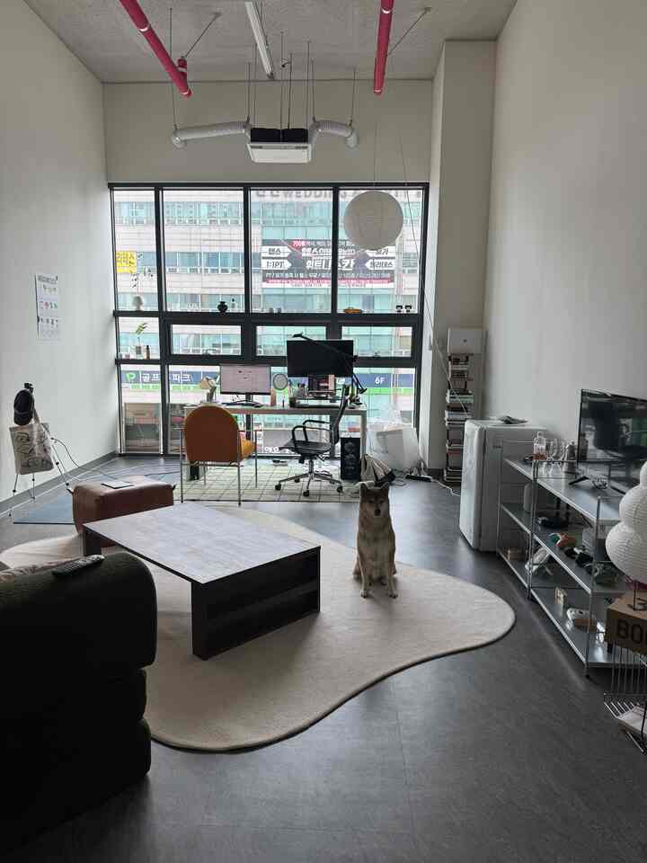 白とグレーのモダンなリビングとホームオフィス、中央に犬が座り、コーヒーテーブルとアームチェアが配置されたシンプルなインテリア