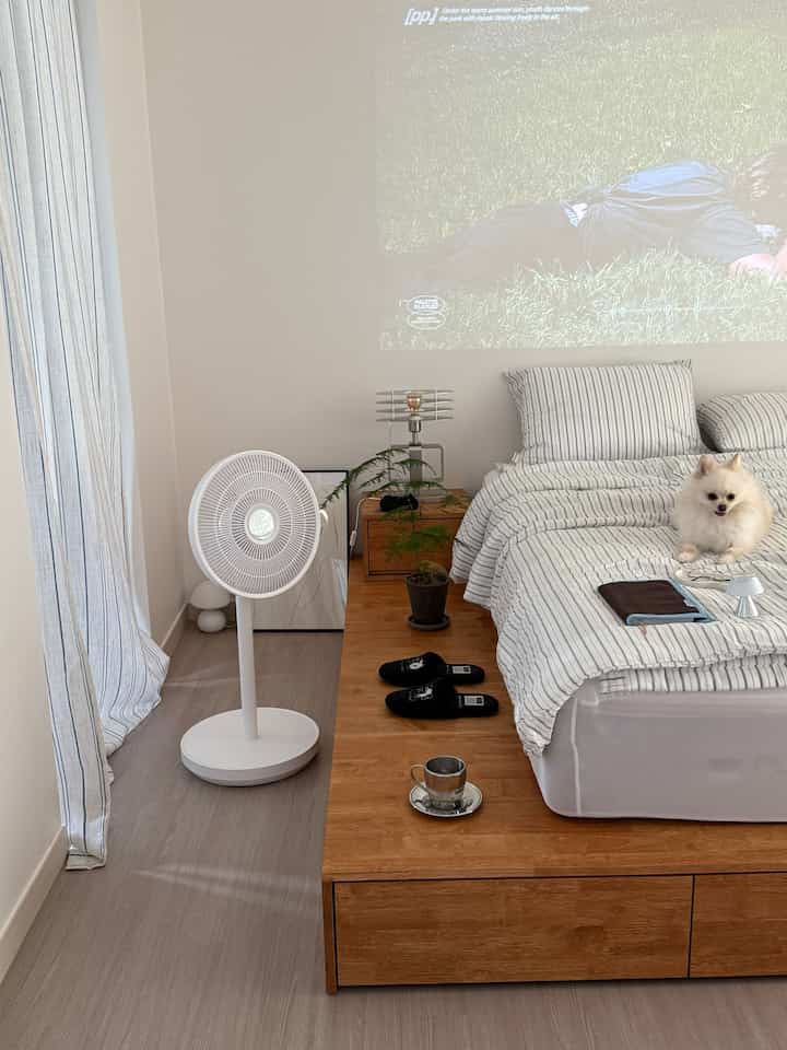 White-walled bedroom featuring a wood-tone low bed with storage and a small dog on the bed, creating a cozy atmosphere