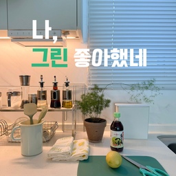 #내돈내산 4 #콘수프기록
주방용품 택배가 왔어요.
강주은 가위가 유명하길래 마침 가위도 잘 안들고해서 가위랑 실리미니주걱, 쯔유를 주문했는데
제 취향이 그린이었네요💚 
집에있던 도마, 리스계량컵, 뒤집개, 행주도 그린컬러😊
민트, 레몬, 라임 요런 컬러 좋아하나봐요 ㅎㅎ 
#주방 #주방소품 #주방용품 #주방블라인드 #알루미늄블라인드 #화이트블라인드 #리스법랑 #리스 #아스파라거스미리오클라두스 #도마 #강주은가위 #실리콘조리도구 #화이트인테리어 #주방인테리어 #주방정리 #조리도구 