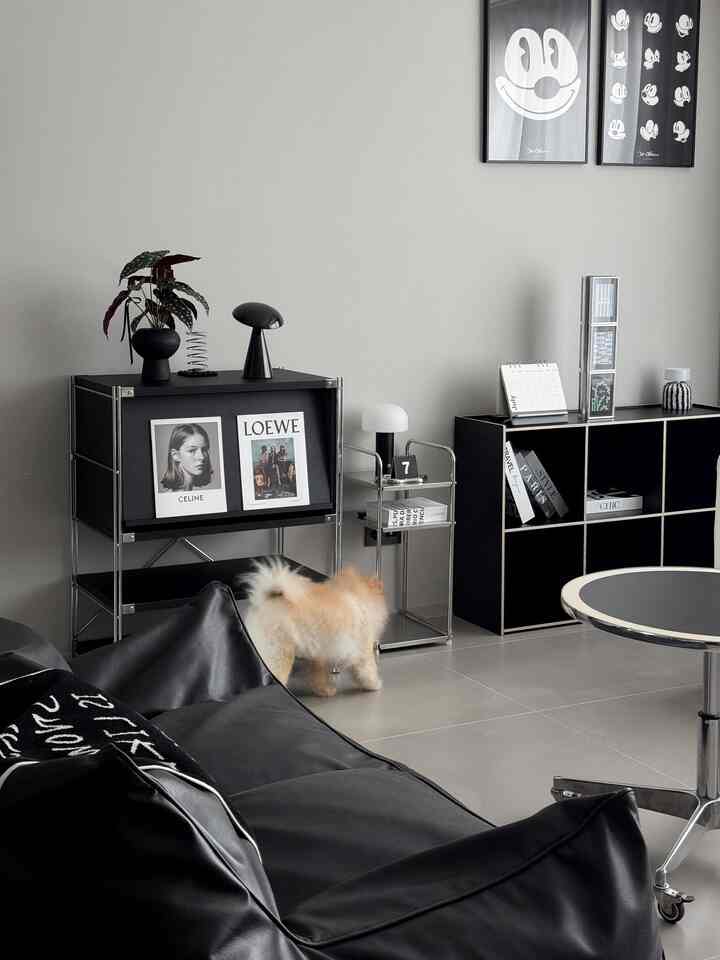 グレーの背景に黒いモダン家具が配置されたリビングルーム、中央にソファとコーヒーテーブルがあり、犬が床を歩いている印象的な空間