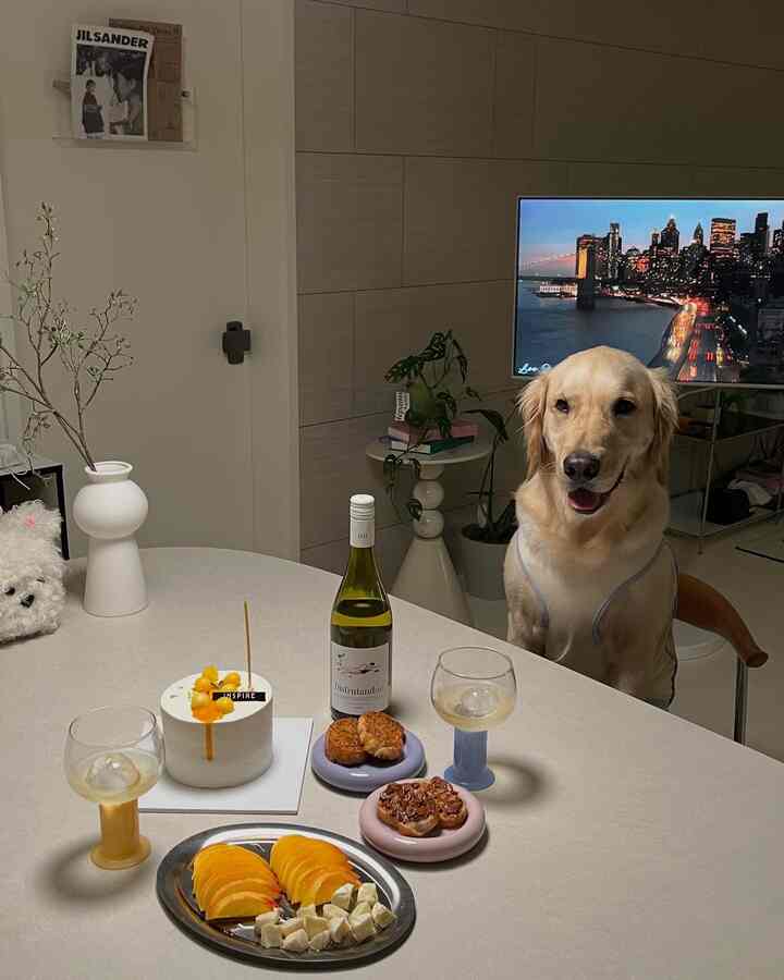 白を基調としたダイニングルーム、ワイングラスが置かれ、犬がいる雰囲気のあるホームパーティースペース