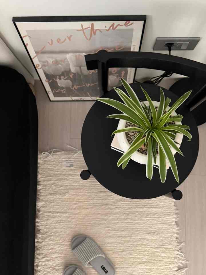 ブラックとベージュの色合いのリビング、黒の丸テーブルに緑の植物が配置された落ち着いた雰囲気の空間