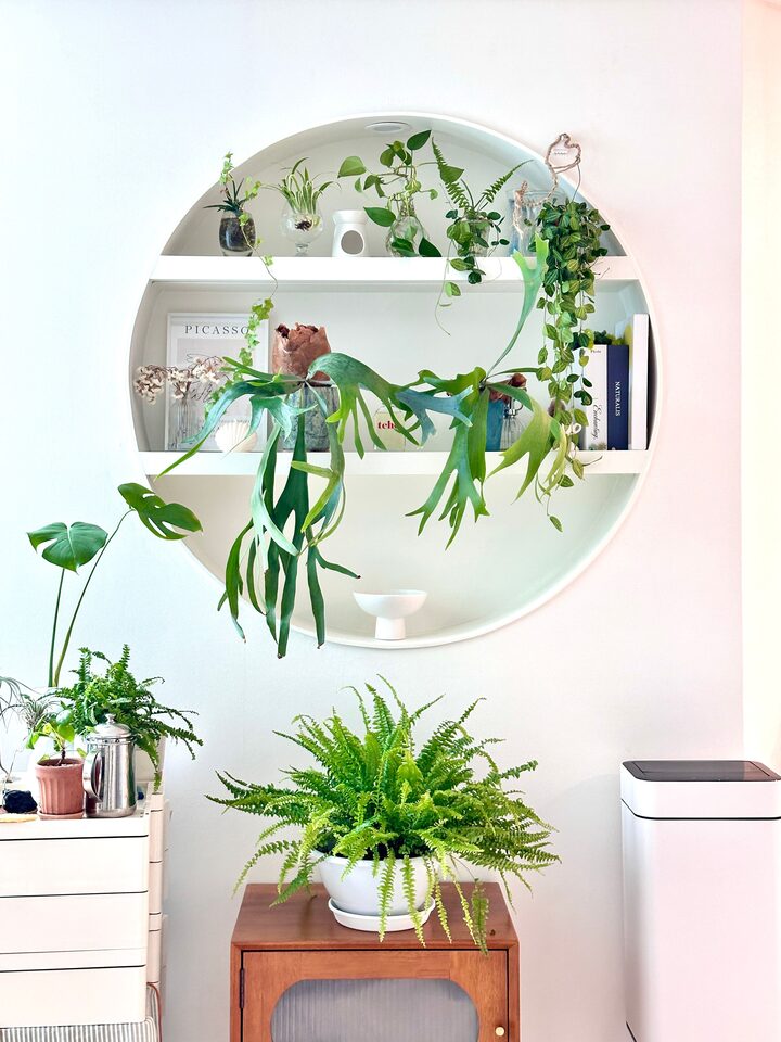 short form carousel card thumbnail