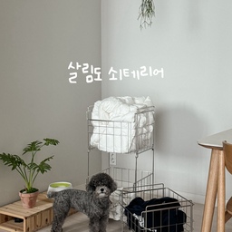 한번 사면 진~짜 오래쓰는 스텐 살림템 3가지
#살림살이 #콘수프기록 
예쁘면서 오래오래 쓰기도 좋은 살림템 찾으시나요?
그렇다면 스텐 소재가 진짜 좋아요!
스테인리스 소재는 정말 잘 고르면 10년은 거뜬하거든요
예쁜집에 예쁜 아이템도 중요하지만
내구성, 
오래 쓸 수 있는 소재인지도 참 중요한 것 같아요 
오늘은 저희집에서 너무나 잘 쓰고 있는
스텐 살림템 3가지 소개해드릴게요!
1. 빨래 쉰내없고 통풍 잘 되는 스텐 빨래바구니
🏷️ JBJ 청담 올스텐 304 세탁바구니
일단 너무 예쁘죠 ㅠㅠ 진짜 까알끔!
그리고 전체면이 통풍되는 구조라 빨랫감에서 확실히 냄새가 덜나요
이동식이라 이곳저곳 끌고 다니기도 쉬워서 이불 수거하러 갈 때도 무겁지않게 이동시키기 좋아요
2. 벅벅 닦고 쌀 씻어도 코팅 벗겨질 일 없는 스텐밥솥
🏷️ 쿠첸 듀얼프로 6인용 올스텐 전기압력밥솥
코팅내솥만 쓰다가 신혼집 오면서 바꾼 스텐 밥솥.
코팅내솥 교체 매번 해줘야하는데 
이건 코팅이 벗겨질 일이 없으니 
편하게 막 수세미로 닦고 쌀도 그냥 솥째 씻고 너무 편해요
스텐밥솥이라 밥이 눌러붙기는 하지만
내솥불림, 자동세척 이런 기능이 있어서 불편하다는 건 못 느꼈어요!
스텐 밥솥은 진짜 왕왕 추천드려요
3. 식탁 위에 감성적인 스텐 테이블매트
🏷️ 헤리터 수 테이블매트
스텐 소재라 음식물 색배임이 없다는 거!
그리고 물세척, 식기세척기도 가능해서 위생적이에요
광택감이 없어서 고급스럽고 너무 예쁜..🤎
❗️오늘의 꿀팁
물, 습기와 가까운 공간에 쓰이는 스텐 제품들은
적어도 304 등급 (더 높은 등급은 316) 을 사용하셔요.
대부분 304 이상의 등급을 사용할 때는 판매처에 언급을 할 거에요
이런 등급을 사용했다면 적어도 녹스는 것에 대한 걱정이 거의 없으니 꼭 확인하시고 구매하세요 :)
👀 사진 속 🔵 동그라미를 누르면 제품정보가 나와요
#살림템 #살림 #쇠테리어  #스테인리스 #주방용품 #스텐살림템 #주방 #주방용품 #신혼가전 #스텐밥솥 #스텐테이블매트 #테이블매트추천 #올스텐 #세탁바구니 #빨래바구니 #세탁실인테리어 #세탁바구니 #세탁실꾸미기 #신혼부부 #맞팔 #밀꼬집
