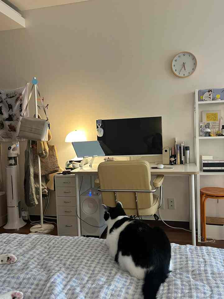 ベージュの家具と白い壁がある寝室兼ホームオフィス、ベッドの上に黒白の猫が座る雰囲気のある空間