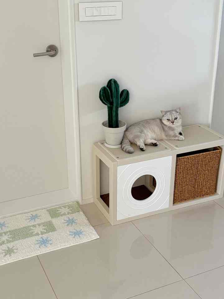 猫用ハウス 2x1［7色］を使ったコーディネート 1