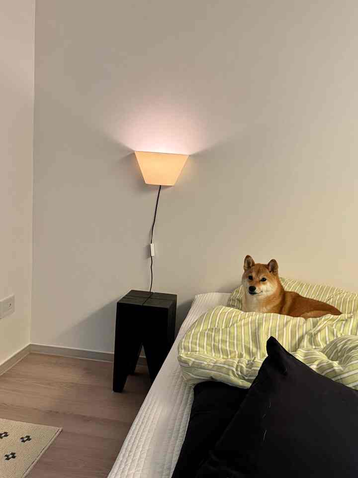 白い壁とナチュラルな木目調の床が調和する寝室、ベッドとナイトテーブル、ブラケットライトが配置された落ち着いたシンプルなインテリア