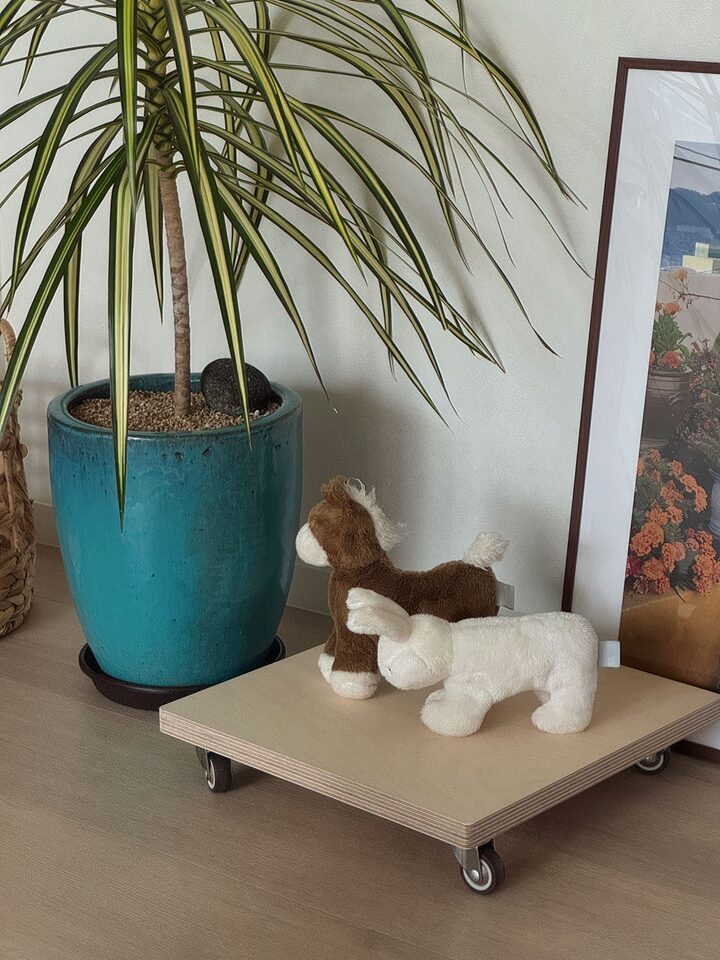 short form carousel card thumbnail