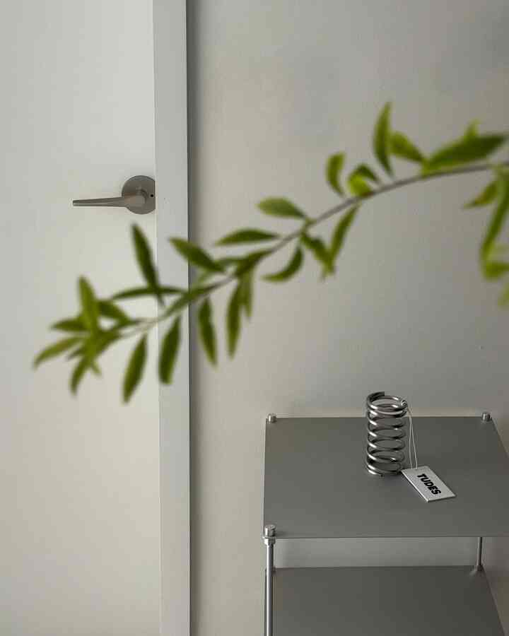 Minimal style space with white walls and door as background, featuring silver spiral holder on a gray shelf on the right