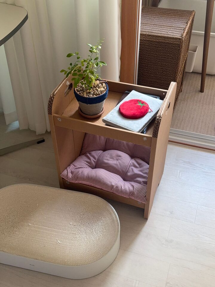 short form carousel card thumbnail