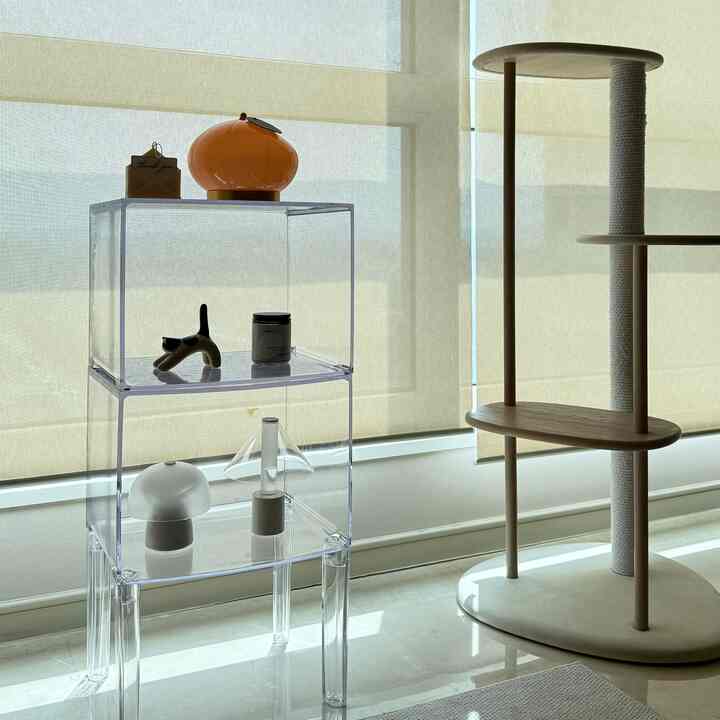Simple, natural pet space in beige tones featuring a transparent acrylic cabinet and wood-toned cat tower