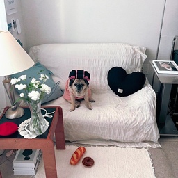 #오늘의우리집 6 #콘수프기록
우리 랄르신 머리 볶으러 왔어욤
뽀글뽀글
3번째 사진이 우리 랄르신이 주로 하시는
K-줌마*랄라지앵 콜라보 스탈이거든요
🤭😆😅
ㅋㅋㅋㅋㅋㅋㅋㅋ
#반려견 #반려견과사는집 #댕댕이 #패션 #패션템 #헤어스타일링 #거실 #좁은거실 #좁은거실꾸미기 #포루투갈러그 #한일카페트 #쇼파 #쇼파추천 #작은집꾸미기 #집꾸미기 #프렌치 #프렌치무드 #귀요미 