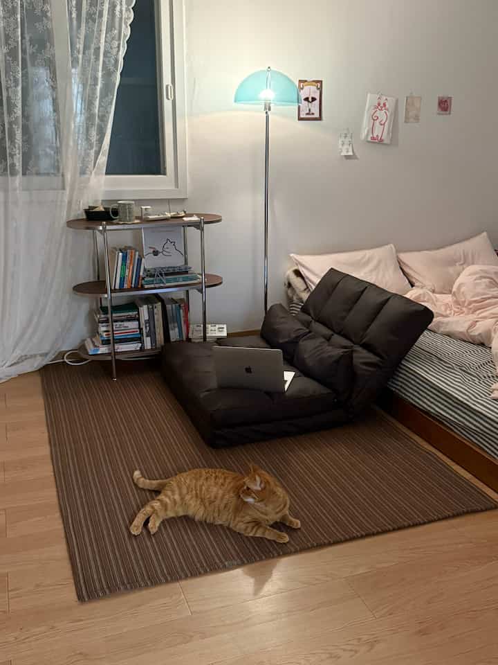 Studio apartment with white walls and brown rug, featuring a sofa bed and floor lamp creating a cozy home cafe vibe