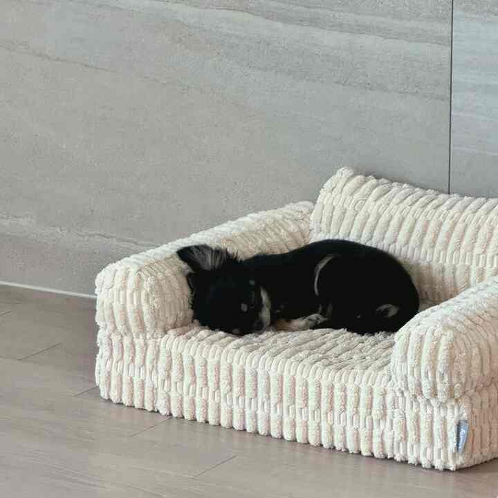 Is it really warm?
If it's not your own sofa
You don't sleep👶🏻🖤

#Today's house
#Parenting a dog
#Today's house interior
