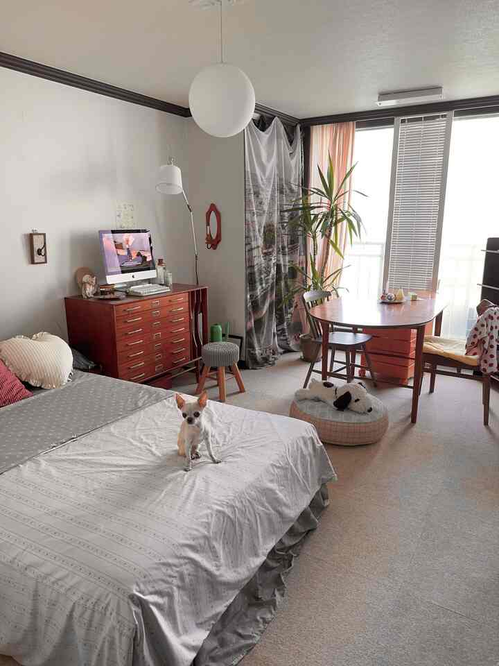 ベージュとブラウンの色調の4人暮らし用ダイニングルームとホームオフィスが融合した空間、犬とペットベッドがある居心地の良いインテリア