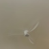게시글 미리보기 이미지 1