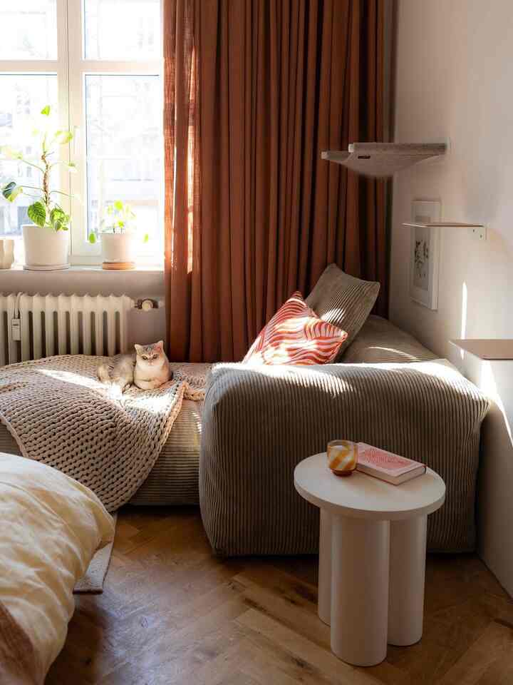 Natural color and warm brown toned living room featuring a sofa with a resting cat and potted plants creating a cozy atmosphere