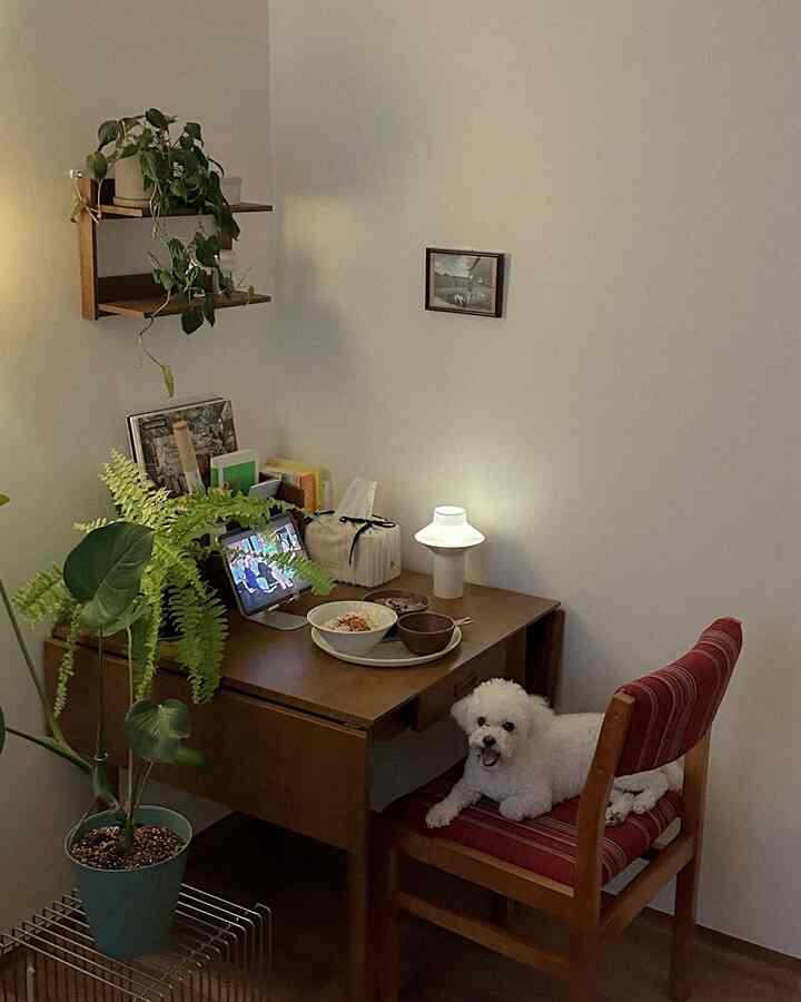 ナチュラルなブラウン色調の小さなダイニング、赤いストライプの椅子と犬がいる雰囲気のある空間