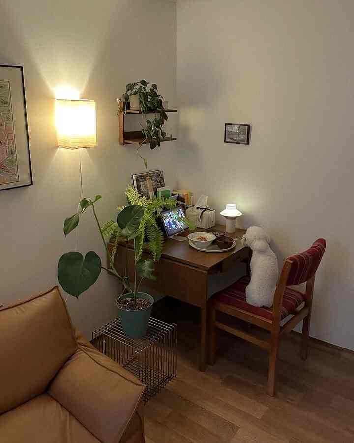 温かみのあるナチュラルな木目調のホームオフィス、木製の机と植物、そして椅子に座る白い犬が配置された雰囲気のあるインテリア