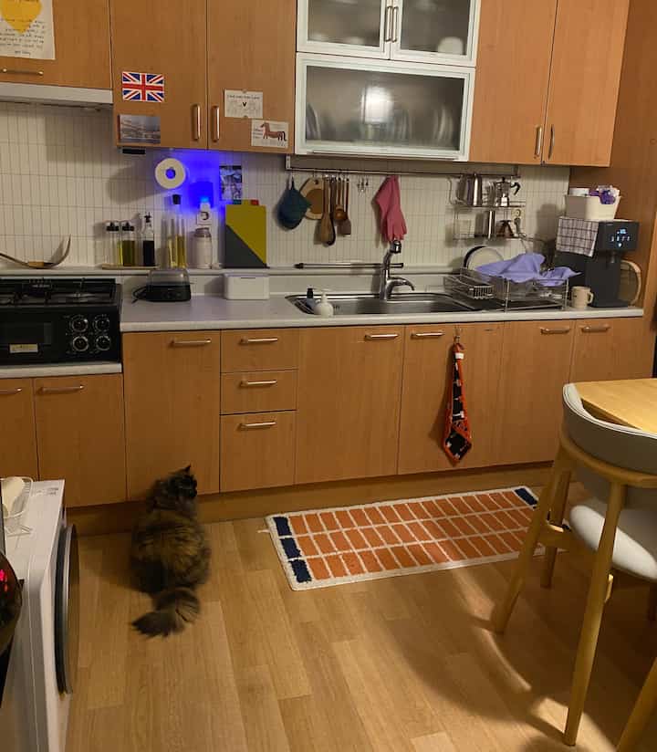 ウッドトーンとホワイトが調和したキッチン、猫とラグが配置された雰囲気のあるインテリア